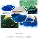 Spirulina Powder - Manufacturer Wholesale Food Grade Green Herbal Extract