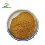 Curcumin Powder - Manufacturer 95% Turmeric Root Natural Pigment Powder