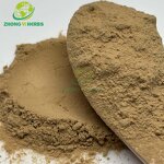 Lemon Balm Extract - Manufacturer 5% Rosmarinic Acid Factory Supply