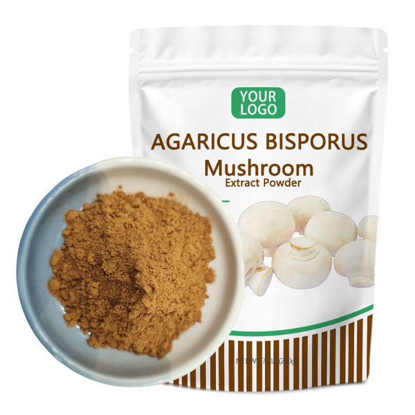 Agaricus Bisporus Extract - Manufacturer Wholesale Mushroom Extract Powder