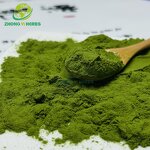 Wheat Grass Juice - Manufacturer Natural Food Grade Organic Barley Powder