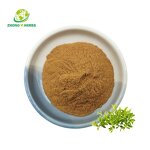 Naringin Powder - Manufacturer 98% Grapefruit Peel Naringenin Extract