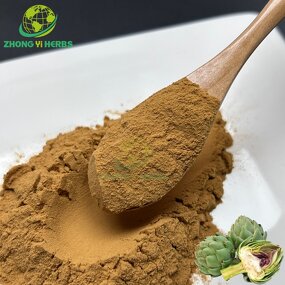 Artichoke Extract Powder - Manufacturer 5% 10% Cynarin Artichoke Leaf Extract