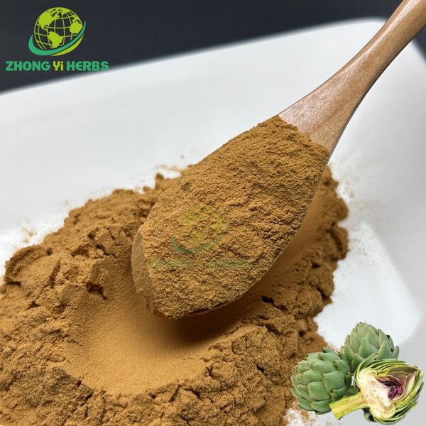Artichoke Extract Powder - Manufacturer 5% 10% Cynarin Artichoke Leaf Extract