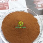 Green Tea Extract - Manufacturer 98% Tea Polyphenols Pure Natural Extract