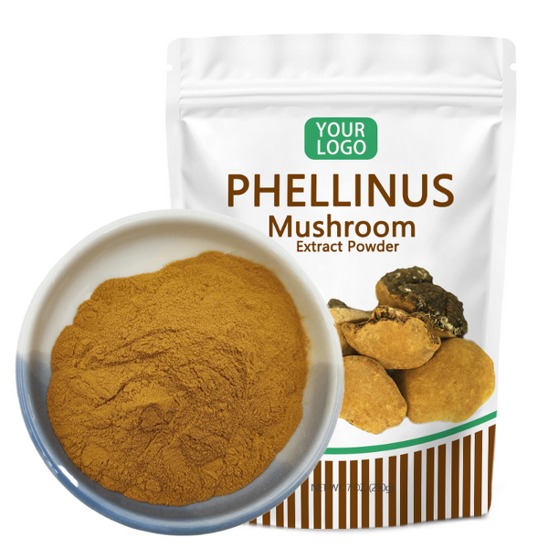 Phellinus Linteus Powder - Manufacturer Polysaccharides Mushroom Extract