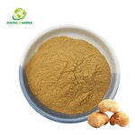 Lions Mane Powder - Manufacturer Organic Hericium Erinaceus Polysaccharide