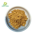Licorice Extract Powder - Manufacturer 98% Dipotassium Glycyrrhizinate