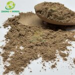 Mushroom Extract Powder - Manufacturer Private Label Organic OEM Blend Powder
