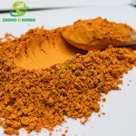 Turmeric Root Extract - Manufacturer 95% Curcumin Natural Supplement