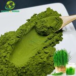 Wheat Grass Juice - Manufacturer Natural Food Grade Organic Barley Powder