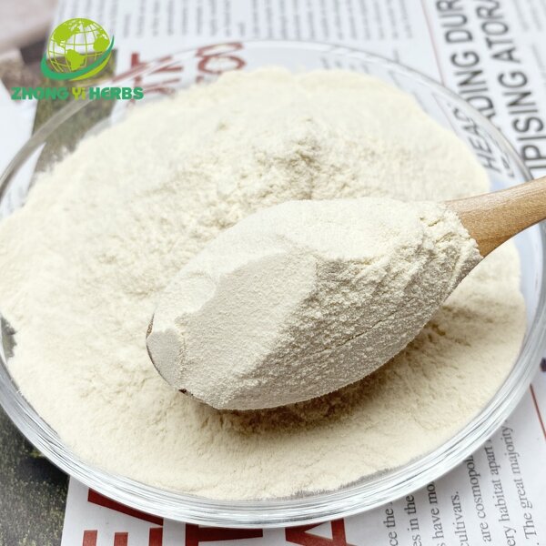 Ginseng Extract Powder - Manufacturer 80% Ginsenosides Pure Natural Extract