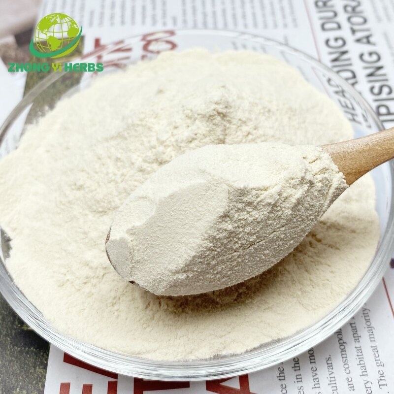 Ginseng Extract Powder - Manufacturer 80% Ginsenosides Pure Natural Extract