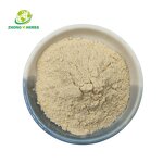 Lemon Balm Extract - Manufacturer 10% Rosmarinic Acid Herbal Powder