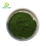 Spirulina Powder - Manufacturer Wholesale Food Grade Green Herbal Extract
