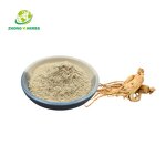 Lemon Balm Extract - Manufacturer 10% Rosmarinic Acid Herbal Powder