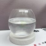 Lemon Juice Powder - Manufacturer OEM Private Label 100% Water Soluble