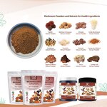 Mushroom Extract Powder - Manufacturer Organic Mushroom Supplements Powder