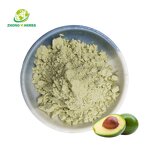Avocado Fruit Powder - Manufacturer Best Price Organic Pure Fruit Powder
