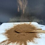 Cordyceps CS4 Powder - Manufacturer Cordyceps Sinensis Extract Powder