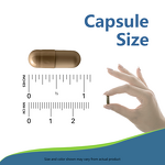 Cordyceps Capsules - Manufacturer 500mg/60caps Vegetarian Herbal Supplement