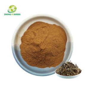 Thyme Leaf Extract - Manufacturer Hot Selling Organic Thymol Powder