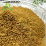 Black Tea Extract - Manufacturer Bulk Organic Instant Pure Powder