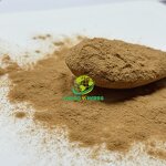 Artichoke Extract Powder - Manufacturer 5% 10% Cynarin Artichoke Leaf Extract