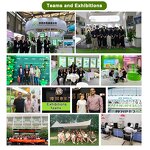 MAP Powder - Manufacturer Cosmetic Grade CAS 9004-61-9 Magnesium Ascorbyl