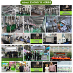 Naringin Powder - Manufacturer 98% Grapefruit Peel Naringenin Extract