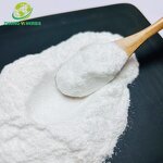 Chitosan Nanoparticles - Manufacturer Wholesale Food Grade Chitosan Powder