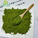 Wheat Grass Powder - Manufacturer Natural Organic Wheatgrass Juice Powder