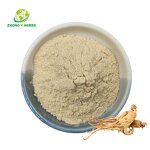 Lemon Balm Extract - Manufacturer 10% Rosmarinic Acid Herbal Powder