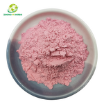Lactoferrin Powder - Manufacturer Wholesale Food Grade Supplements Powder