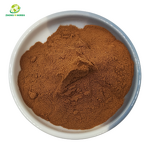 Cordyceps Sinensis Powder - Manufacturer Private Label CS4 Extract Powder