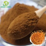 Cordyceps Militaris Extract - Manufacturer Private Label 3% 8% Cordycepin