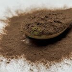 Cordyceps CS4 Powder - Manufacturer Cordyceps Sinensis Extract Powder