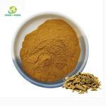 Curcumin Powder - Manufacturer 95% Turmeric Root Natural Pigment Powder