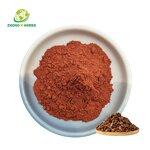 Saw Palmetto Extract - Manufacturer 25% 45% Fatty Acids Natural Powder