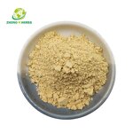 GABA Powder - Manufacturer CAS 56-12-2 Gamma-Aminobutyric Acid Bulk