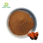 Antrodia Camphorata Extract - Manufacturer Organic Polysaccharide Mushroom