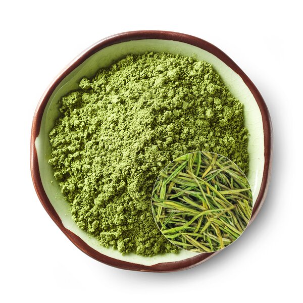 Matcha Green Tea Powder Manufacturer - High Quality Antioxidant Energy-Boosting for Adults
