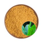 Banana Extract Manufacturer - Durlevel Supply Corosolic Acid from Plantain & Loquat Leaf