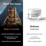 Shilajit Gummies Manufacturer - Vegan Fulvic Acid Enriched Daily Wellness Aid