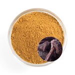 Pygeum Africanum Extract Powder Manufacturer - High Purity 2.5% for Male Fertility