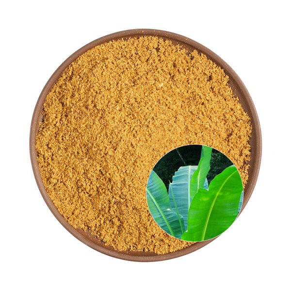 Corosolic Acid Powder Manufacturer - High Quality from Plantain & Banana Leaf Extracts