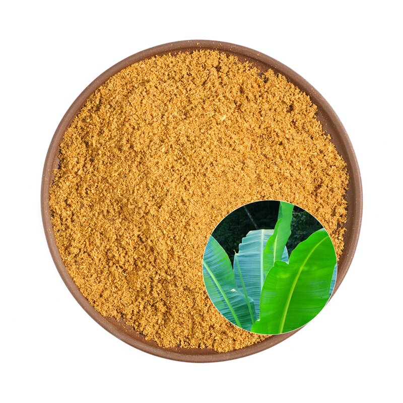 Corosolic Acid Powder Manufacturer - High Quality from Plantain & Banana Leaf Extracts