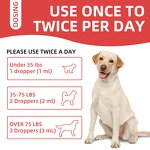 Vitamin D3 Drops for Pets Manufacturer - for Small Animals Veterinary Recommended Nutrient Boost