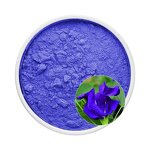 Butterfly Pea Flower Powder Manufacturer - High Purity Food Additive Supply