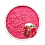 Pomegranate Leaf Extract Powder Manufacturer - Natural for Skin Brightening